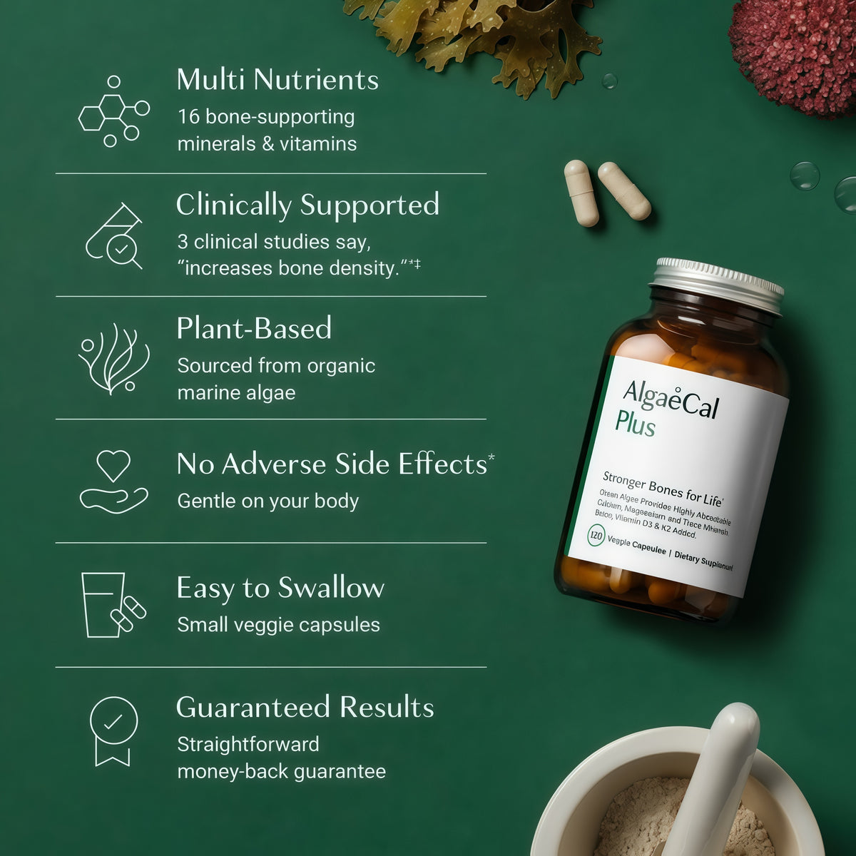 AlgaeCal Plus